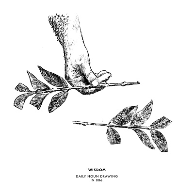 Wisdom cuttings dailydrawing dailynoundrawing drawing illustration illustrator process wisdom