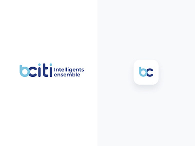 Brand identity -bciti and icons app design design interaction design logo ui design ux ui design web design