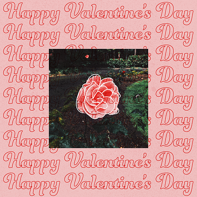 Instagram Post: Happy Valentine's Day! adobe design graphic graphicdesign icon illustrator instagram nature oregon pdx rose vector
