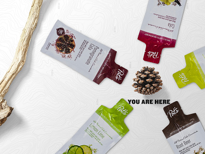 Pat s Backcountry Beverages - Soda Packets adventure time all natural beverage beverage packaging conceptual soda design soda packaging