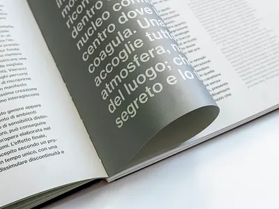 Storie Italiane. Fotogrammi di interni e architetture d'autore book book design catalog catalog design monograph neue haas grotesk new offset sans serif silver type typography