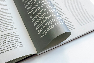 Storie Italiane. Fotogrammi di interni e architetture d'autore book book design catalog catalog design monograph neue haas grotesk new offset sans serif silver type typography