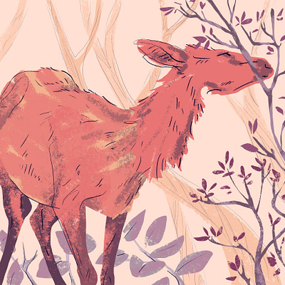 Deer adobe animal deer drawing graphic illustration nature photoshop wacom