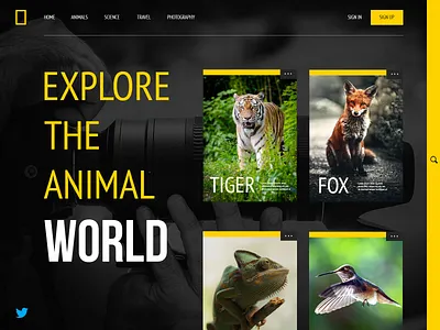 Nat Geo Home Page ui design ux design web design