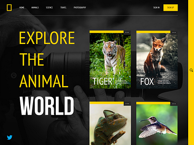 Nat Geo Home Page ui design ux design web design