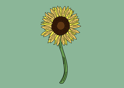 Sunflower Stock Illustration art design icon illustration illustrator logo sunflower vector