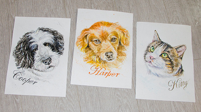 watercolor portrait, two dogs and a cat, A3 art drawing fashion hand painted handmade illustration paint painting