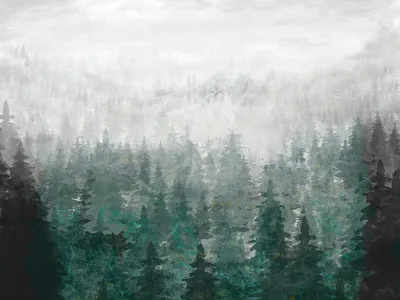 Foggy Trees digital painting digital watercolor foggy forest illustration landscape nature illustration trees