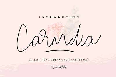 Carmelia - A Fresh Modern Calligraphy Font alternates calligraphy casual feminim handlettering handwritting lettering ligatures luxury modern monoline script signature vintage wedding