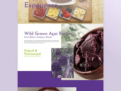 Acailab illustration kuala lumpur restaurant webdesign website design