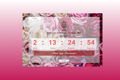 Daily UI - Countdown timer countdown interface pink red roses ui ui design uidesign