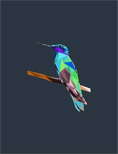 Poly the poly bird 🦜 art colors design illustration polygons vector