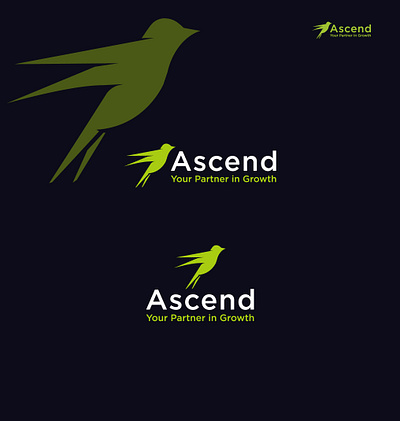 ascend bird logo brand branding design desing icon illustration logo logo design logo design concept vector