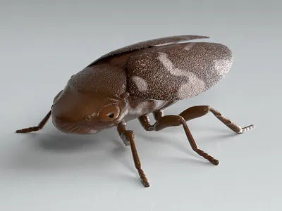 Spuugbeestje 3d bug creature game illustration insect nature unity