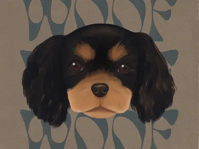 pupperoni design dog illustration sketch type typography