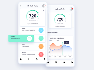 My Credit analytics credit dashboard design finance app illustration ios iphone ui ux