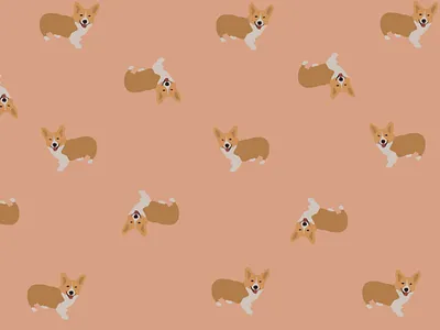 pink corgi nation adobe fresco corgi corgis illustration pets