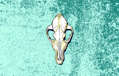 Coyote Skull Study art coyote desert design doodle illustration illustration design illustrator illustrator art illustrator cc minimal overlay pen tool photoshop photoshop art sketch skull study symmetry texture