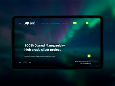 Main page concept design dark mode desktop figmadesign interface minimal promo simple ui ux web webdesign website