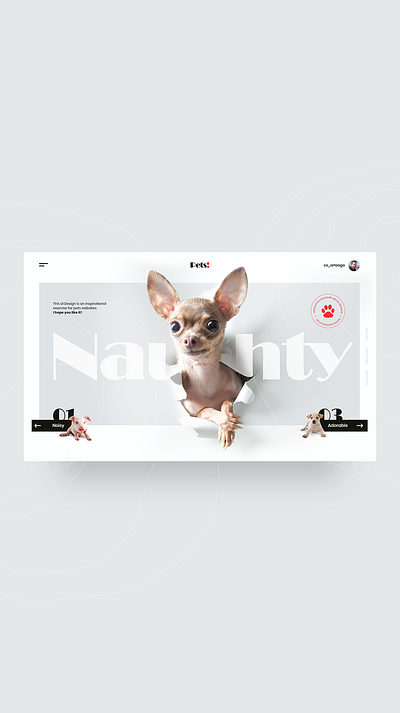 Pets adorable animals cerdos clean concept design dogs interaction interface light limpio minimal pets template ui uiux web design webpage