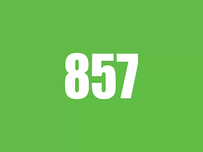 857 857 ae dj fault figures