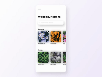 Plant Reminders animation app interaction interaction design microinteraction plant ui ux