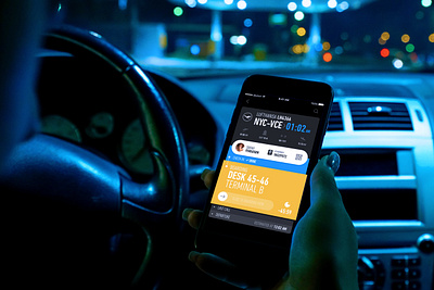Flight Tracking App Concept app flight mobile tracking ui ux