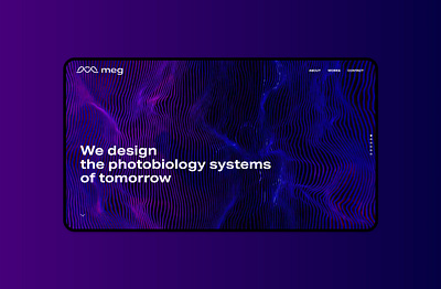 MEG Website UI branding ui ux website