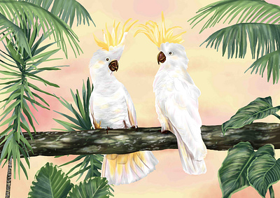 Tropical Cockatoo Print cockatoo design drawing illustration tropical