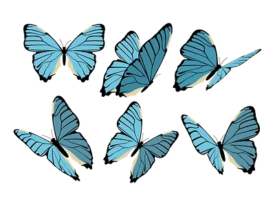 Butterfly vector butterfly clipart icon vector