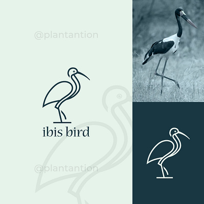 Ibis Bird graphic design logo