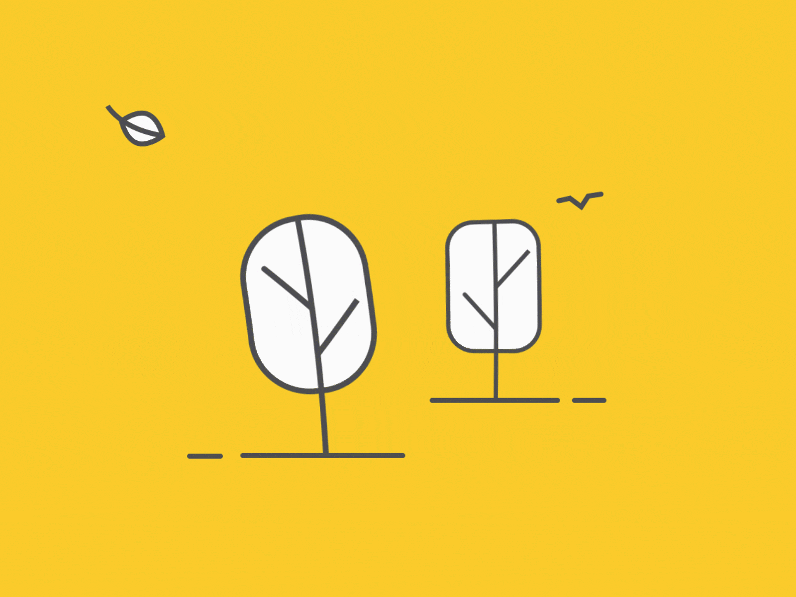 Learning Motion Design adobe aftereffects design learn motion practice