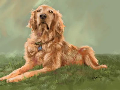 Murray Happy Sunny Days animals beautiful brushwork digital fine art digital oil painting doglover dogs fur golden retriever happydog painting portraiture sunshine wet paint
