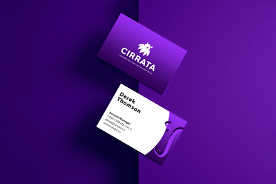 Cirrata Branding art direction brand identity branding business card business card design collateral design illustration logo print print design