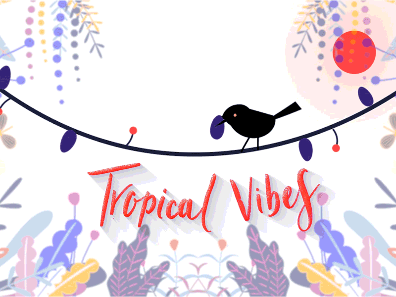 Tripical Vibe 1 after effects animation animation animation 2d branding concept custom animation design flat gif motiongraphics