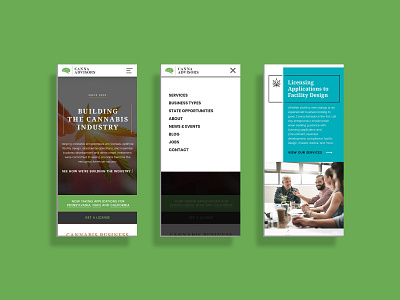 Canna Advisors Product Design branding design interaction product design typography ui ux web web app web design