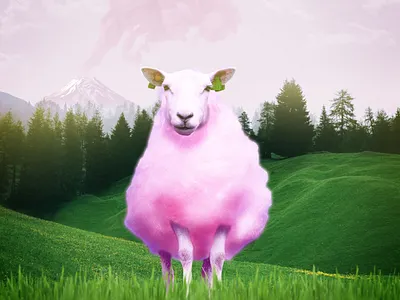 Cotton Candy cotton candy digital art photomanipulation photoshop