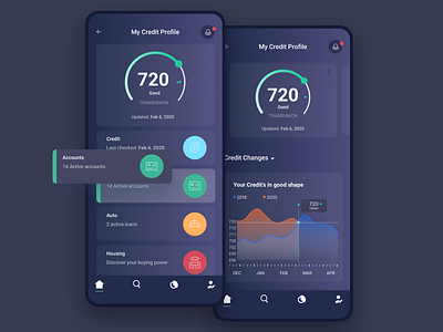 My Credit Dark analytics credit design ios iphone ui