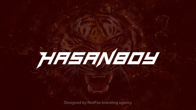 Hasanboy logotype avatar background brand design h logo logo logo design logotype user