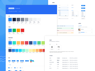 AE 6.0 StyleGuide backstage branding design ui