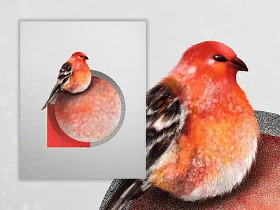 New Series Out lin(f)e art bird bird illustration illustration illustrator india photoshop procreate sketch tamil