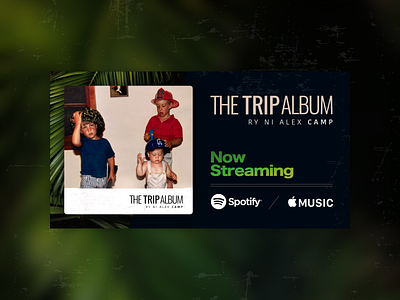 Album artwork for The Trip Album - Music by Alex Camp album artwork apple music art cover art music art now streaming palm tree palms spotify trip album