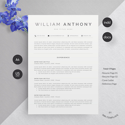 Resume/CV clean resume creative resume curriculum vitae cv template modern modern resume professional resume resume template template