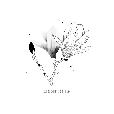 Magnolia Illustration black and white illustration design flower flower illustration illustration lettering magnolia nature nature illustration texture typography