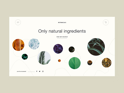 Skincare landing page concept beige botanical design earthtones flat light minimal natural skincare skincareherbal ui