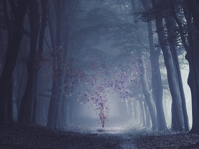 Girl Turning Into Butterflies butterflies disintegration girl photo manipulation photoshop photoshop art photoshop manipulation