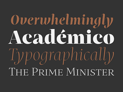 Mastro display fonts poster serif type type design typefaces typography variable variable font