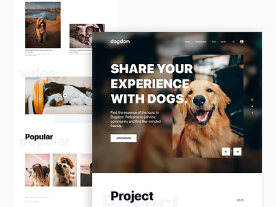 Pet community website UI. design ui web design