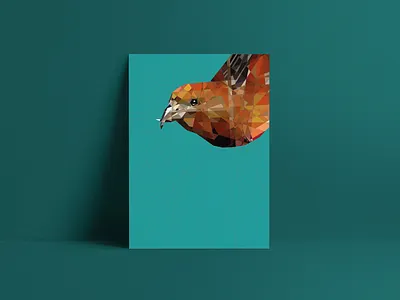 CrossBill brand design graphic illustration print