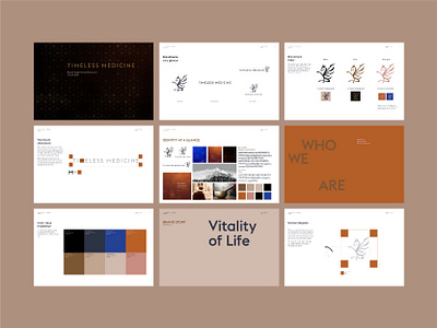 Holistic Medicine Brand Guidelines brand guidelines brand identity branding branding agency branding and identity branding design brandmark identity system logo visual identity wordmark